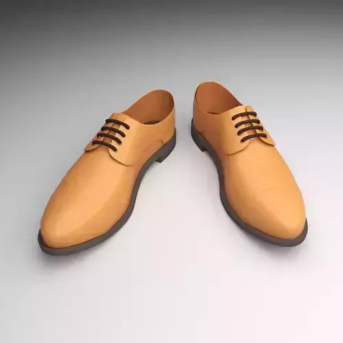 shoe  for men 
