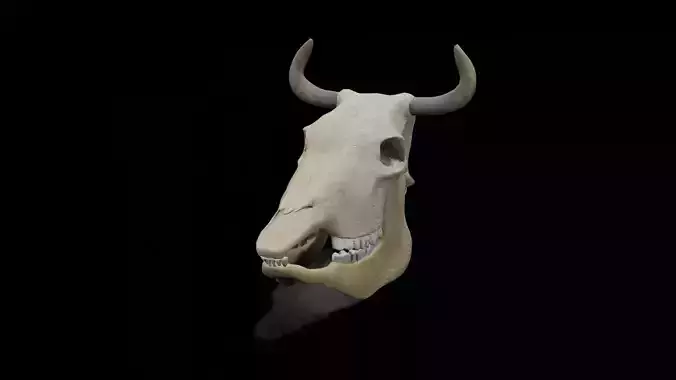 Cow low poly game ready  3D model