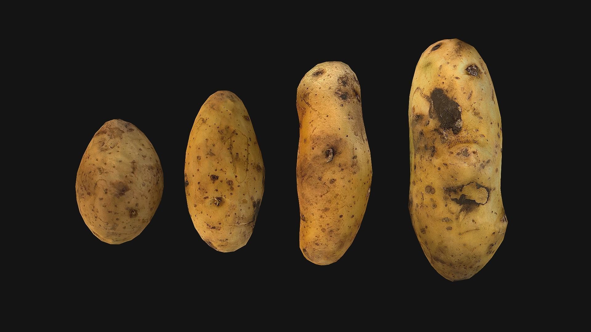 Potato Low-poly 3D model_11