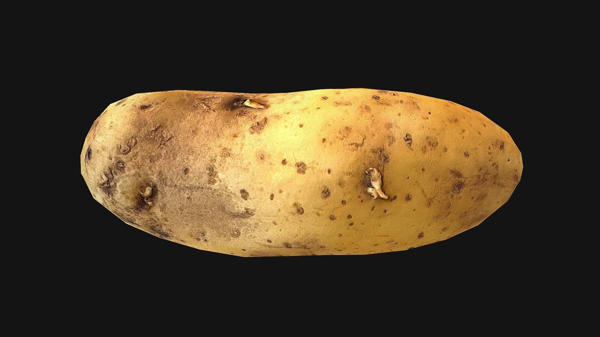 Potato Low-poly 3D model_23