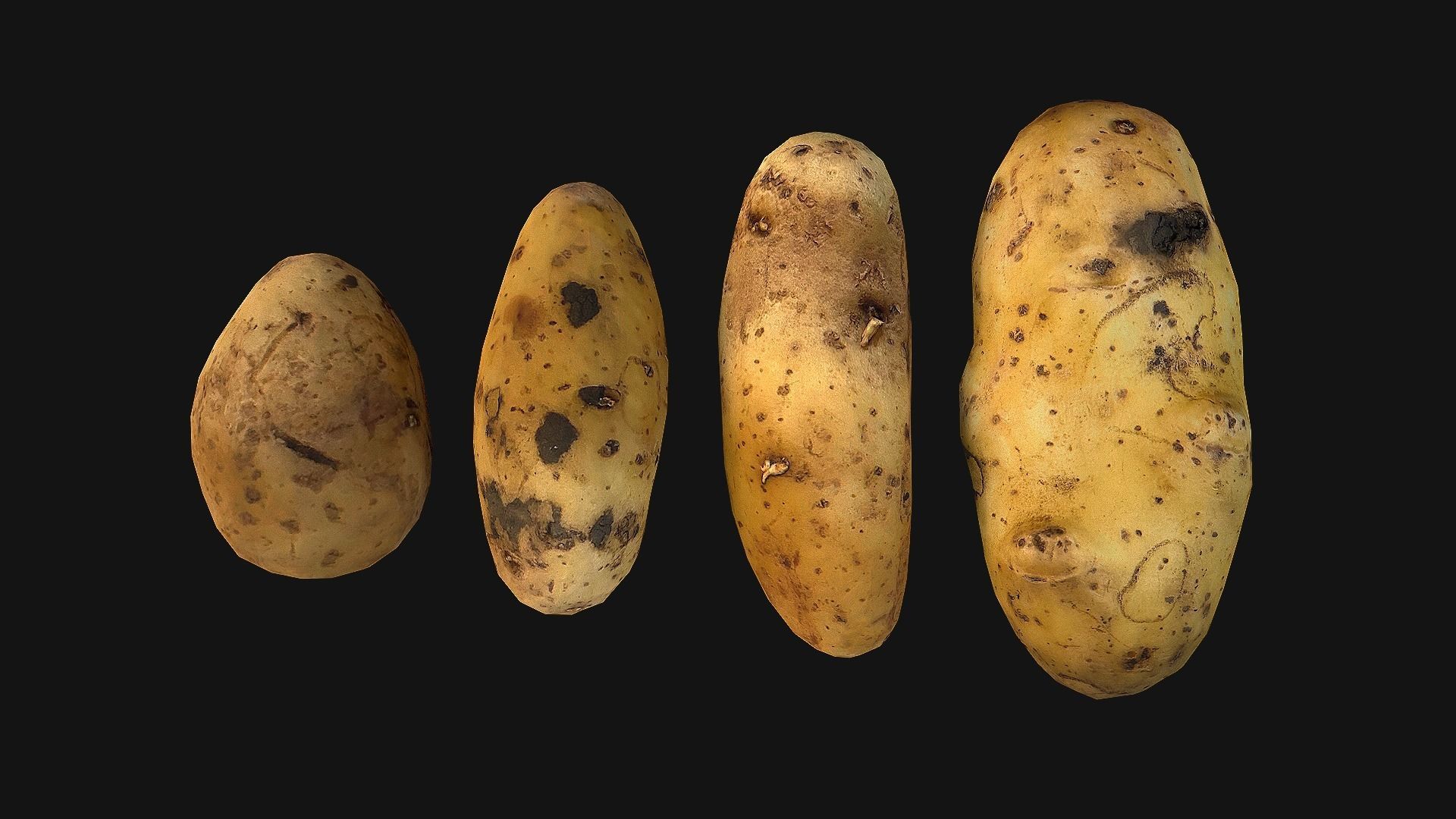 Potato Low-poly 3D model_8
