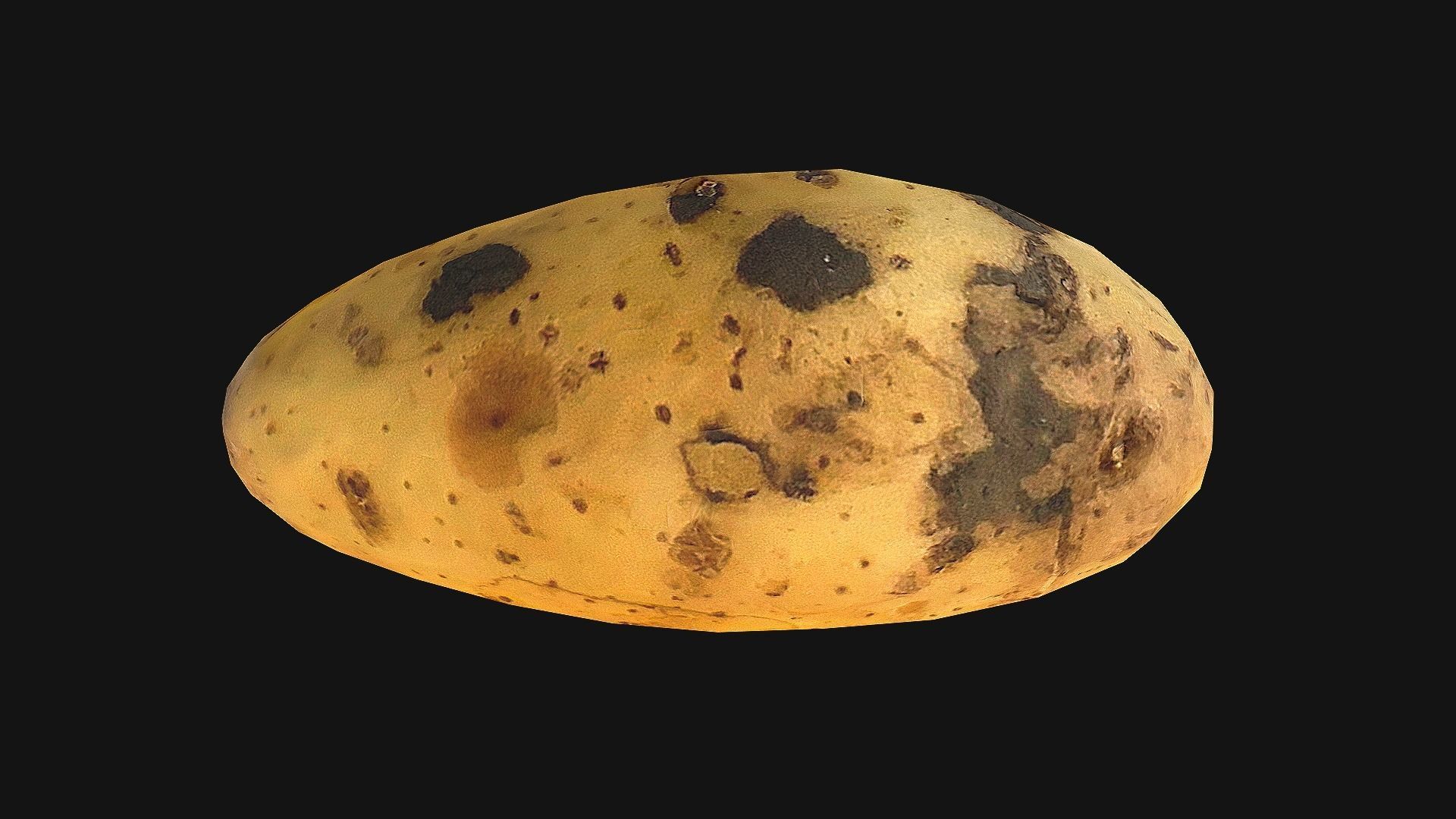 Potato Low-poly 3D model_20