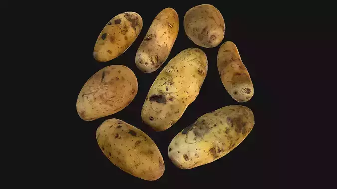 Potato Low-poly 3D model