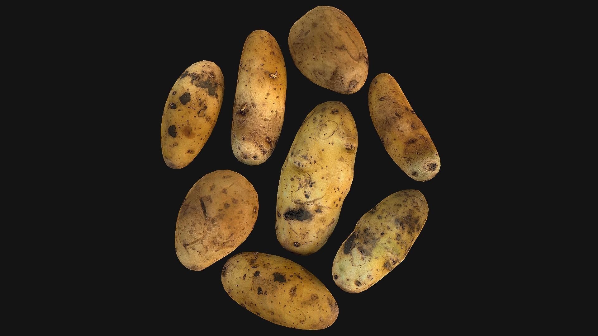 Potato Low-poly 3D model_4