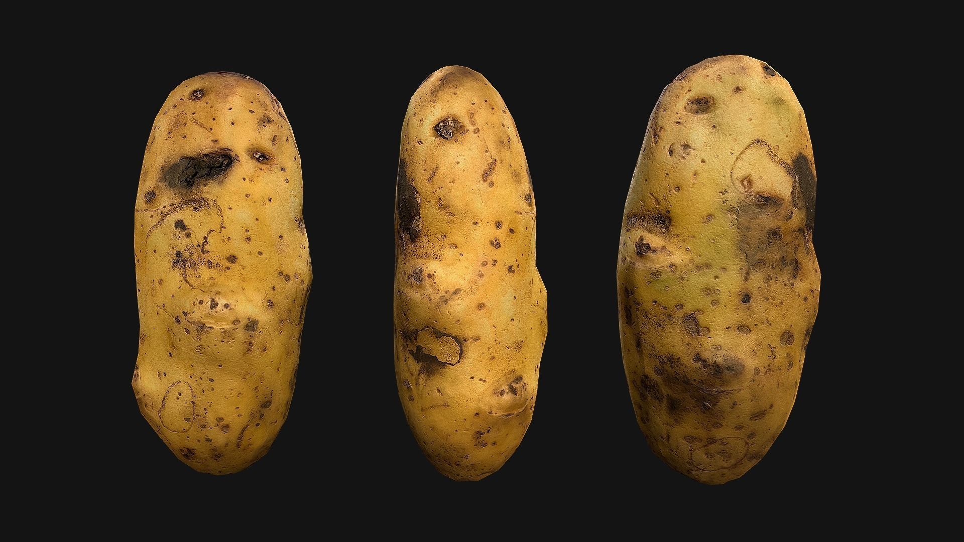 Potato Low-poly 3D model_14