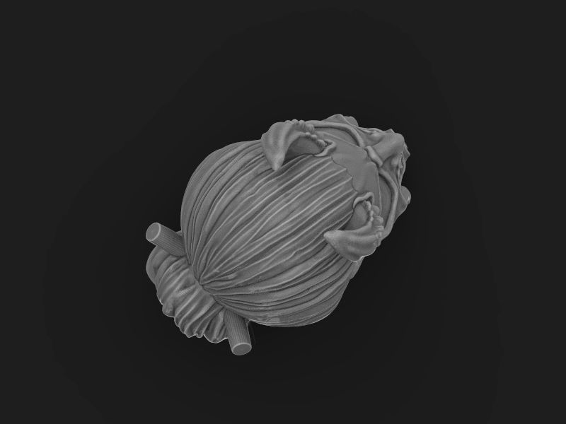 The Japanese demon head 3d model for 3d printing 3D print model 3D print model_17