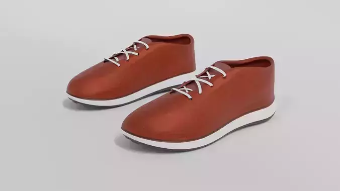 Brown leather shoes