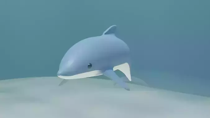 Animated Cartoony Dolphin 
