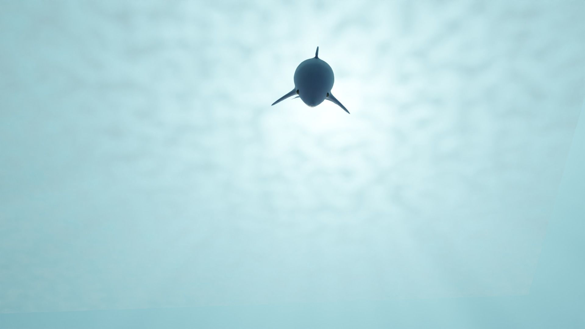 Animated Cartoony Dolphin Low-poly 3D model_6