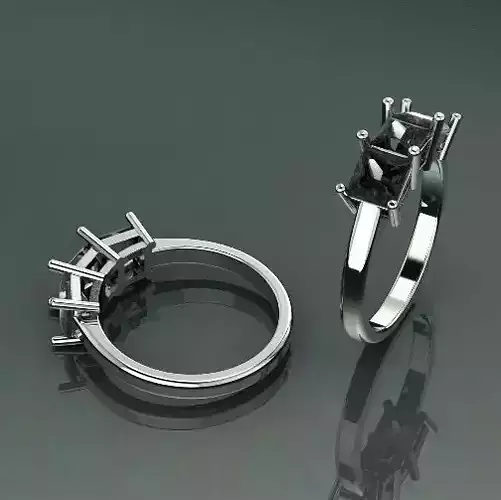 Ring Model 1571