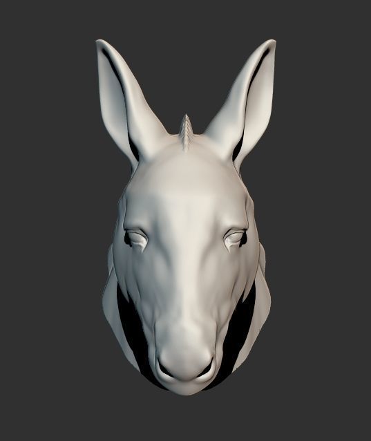 Donkey Head 3D print model_3