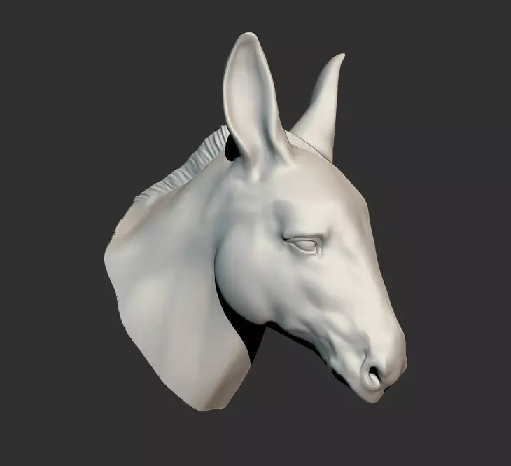 Donkey Head 3D print model_0
