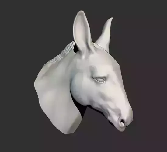 Donkey Head