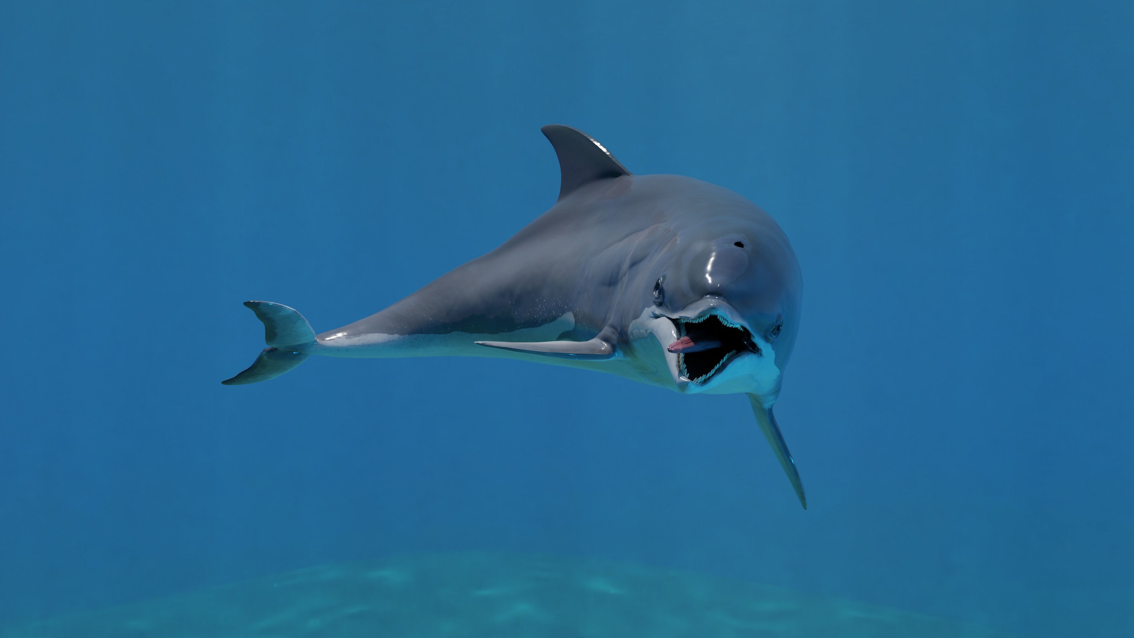Dolphin Animated Old Low-poly 3D model_4