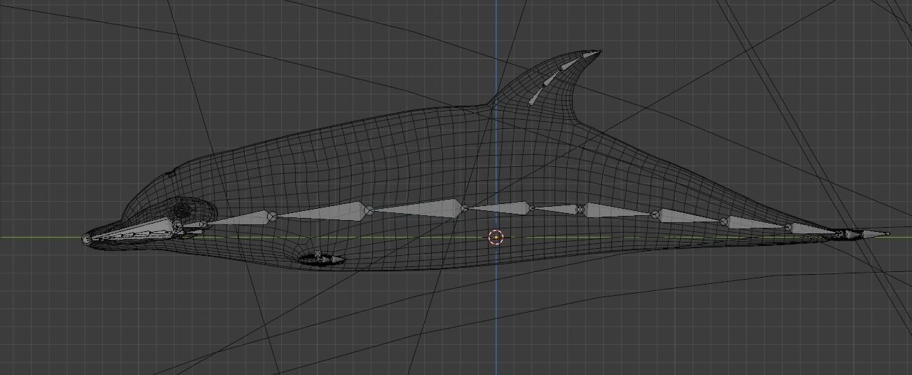 Dolphin Animated Old Low-poly 3D model_8