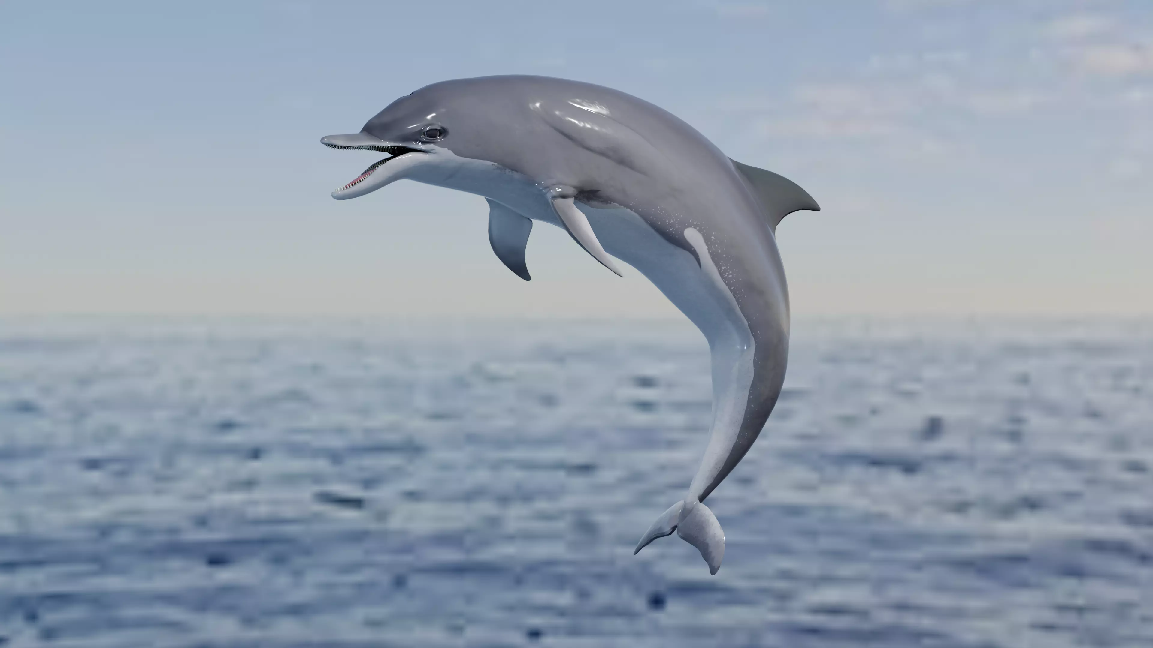 Dolphin Animated Old Low-poly 3D model_0
