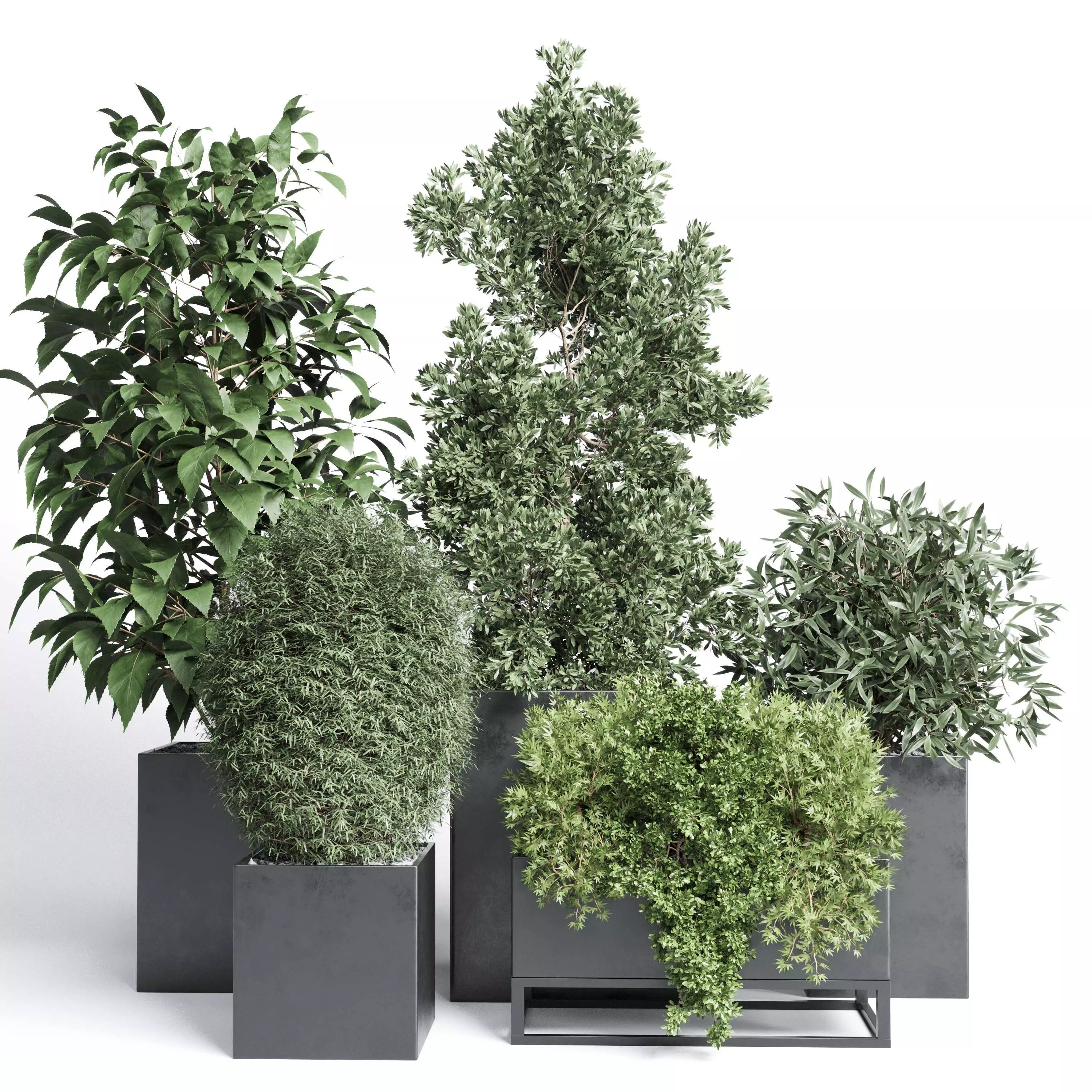 Outdoor plant Collection 113 stand plant box 3D model