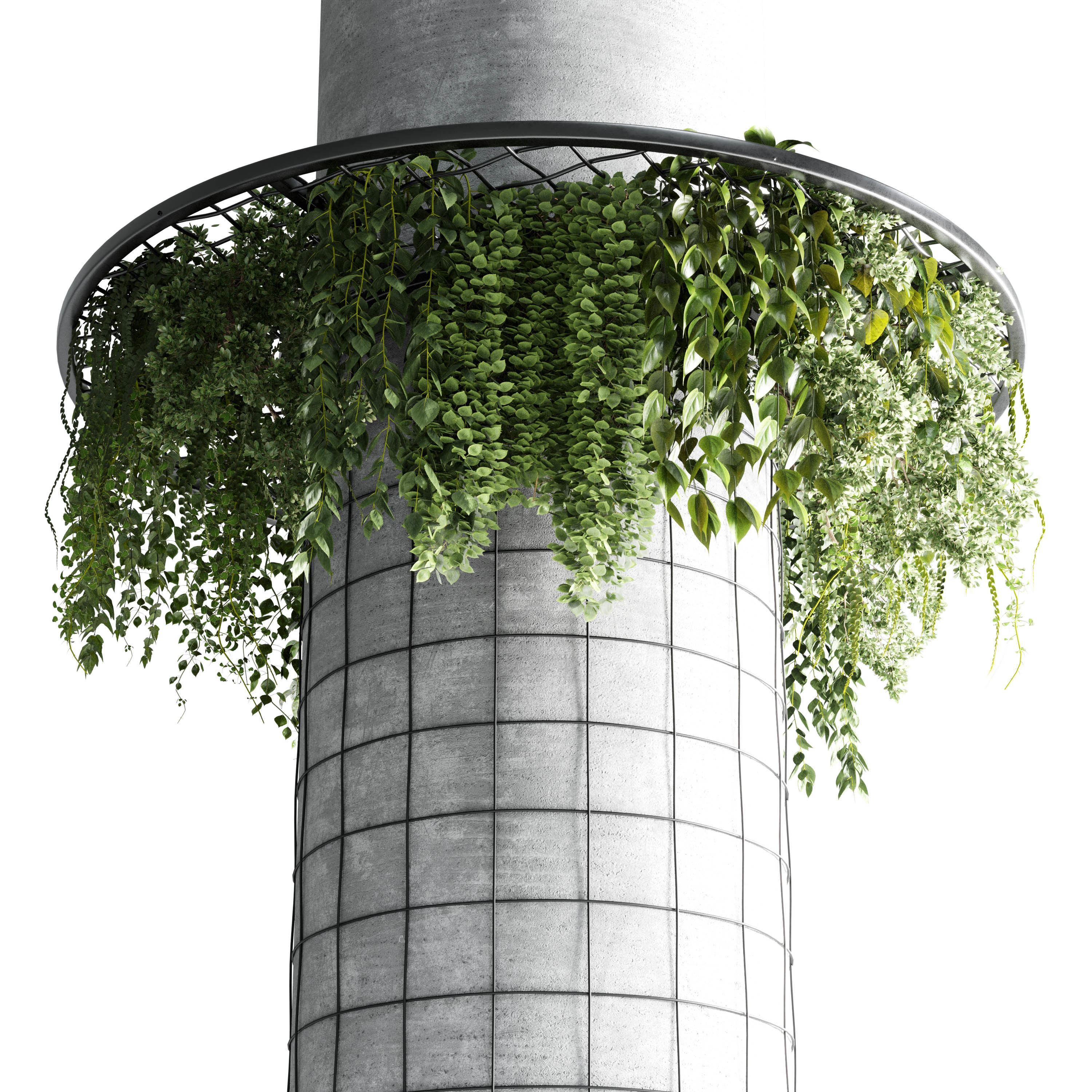 Column plant  3D model_5