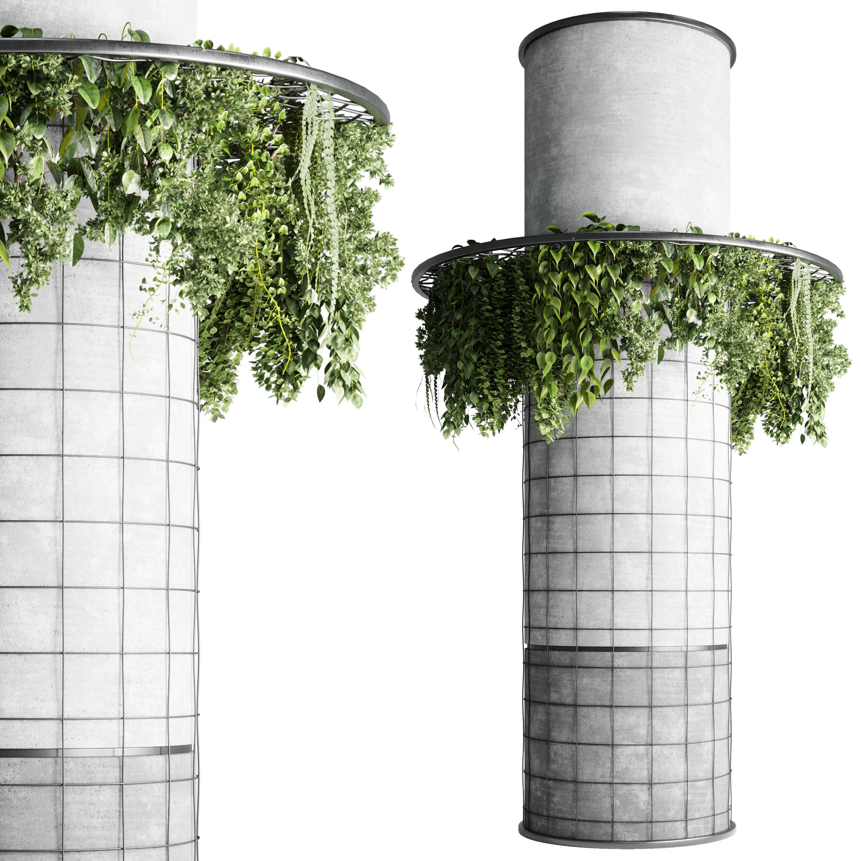 Column plant  3D model_1