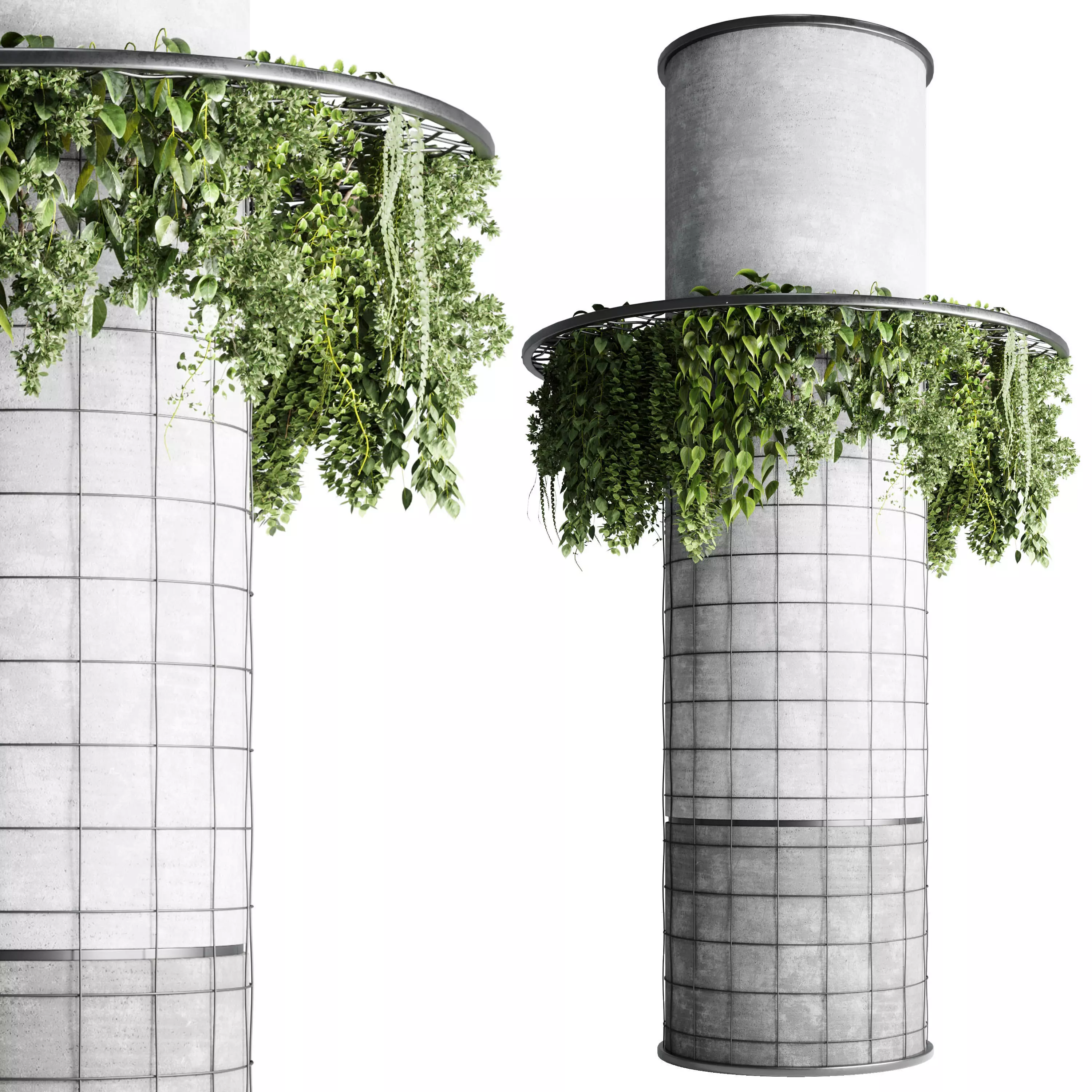 Column plant  3D model_0