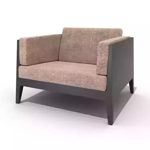 Trendy Sofa With Cushion