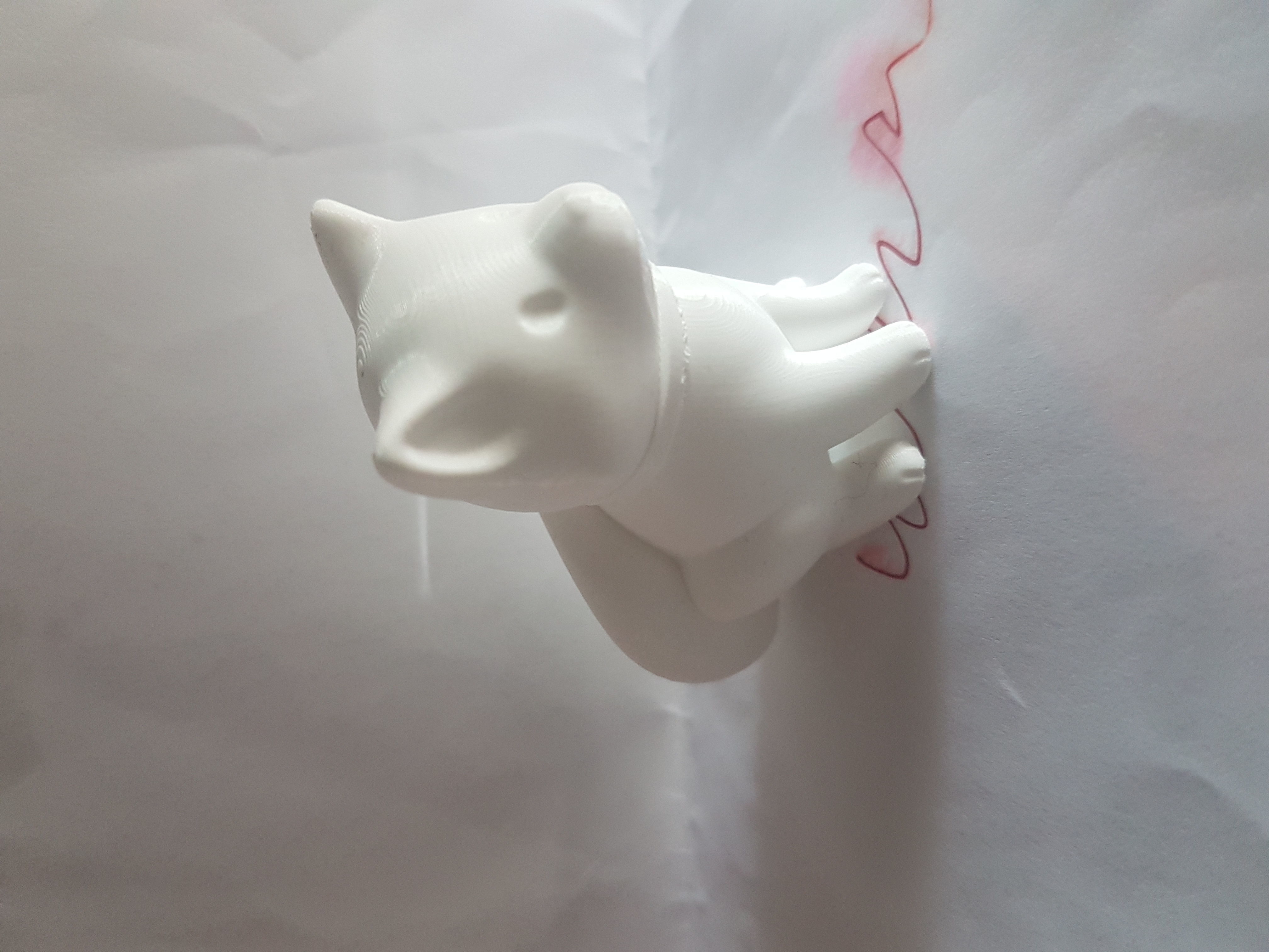 Shiba 3D Print model cat on table 3D print model_4