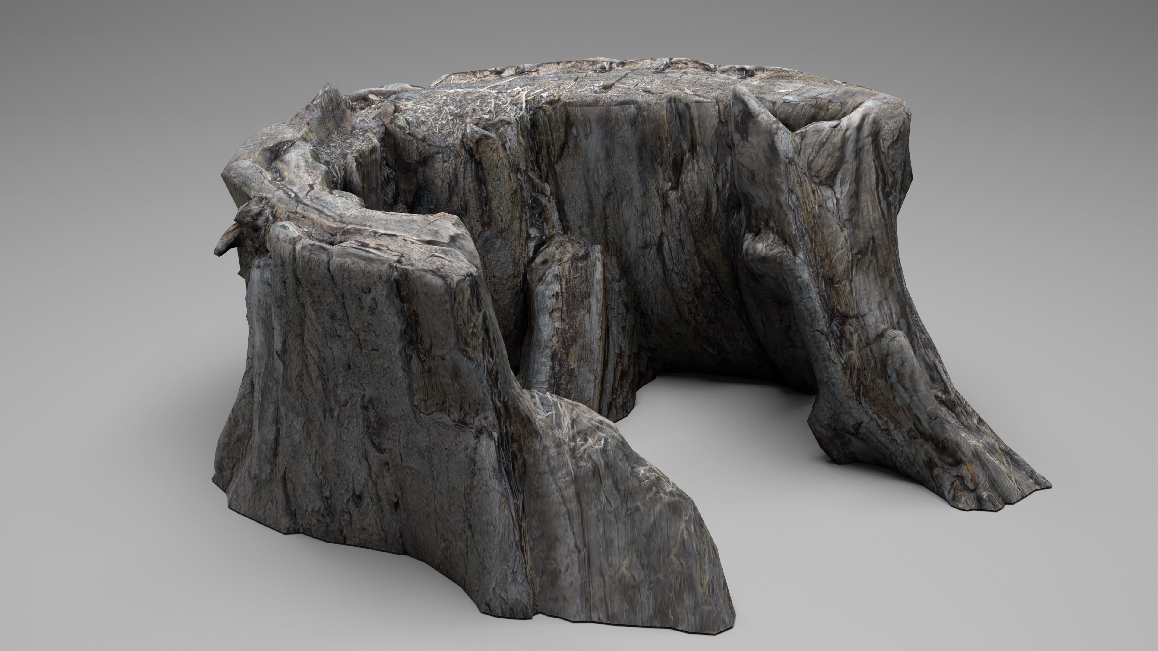 Tree Stump 003 Photoscan PBR Game Ready Low-poly 3D model_5