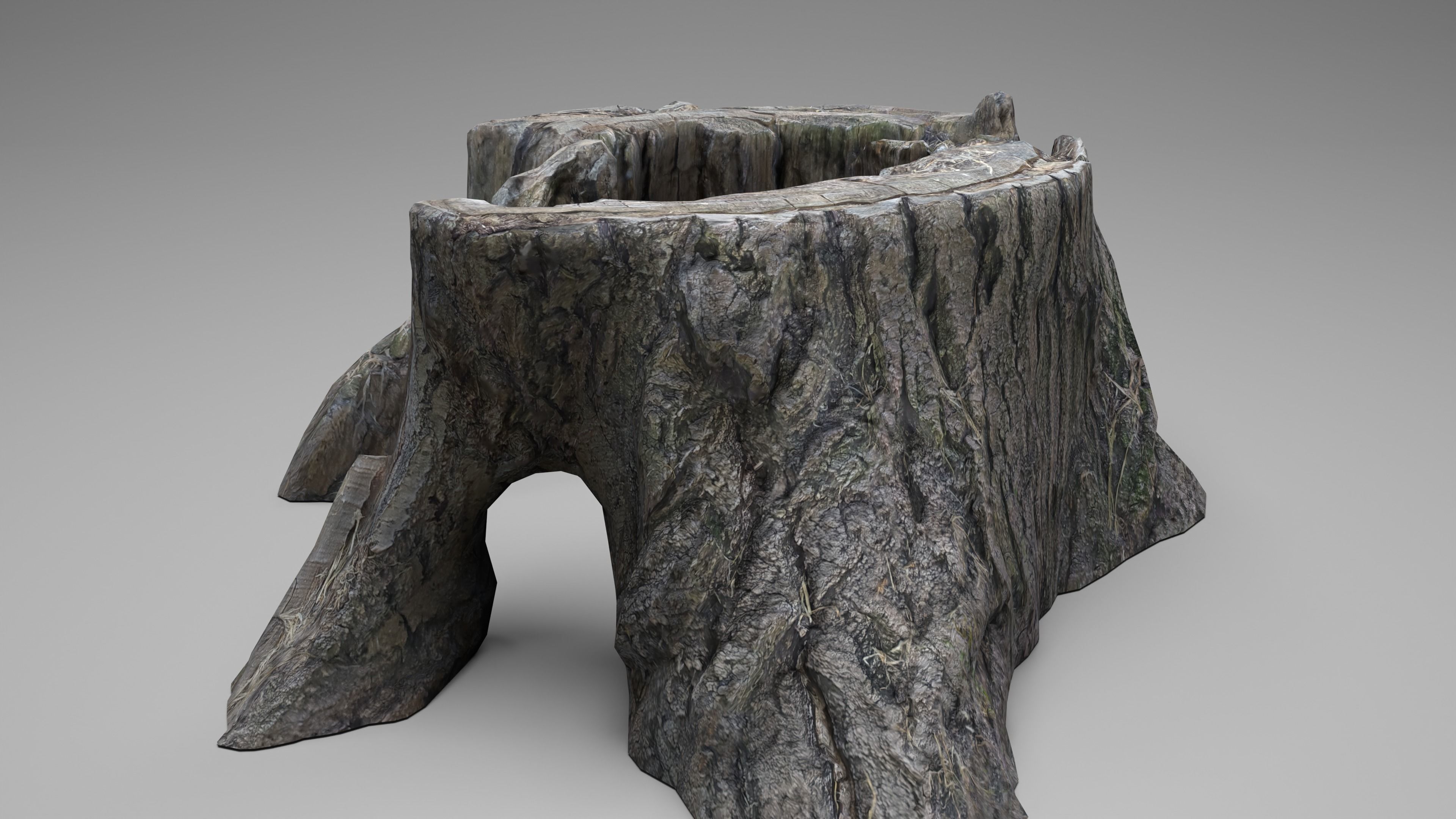 Tree Stump 003 Photoscan PBR Game Ready Low-poly 3D model_3