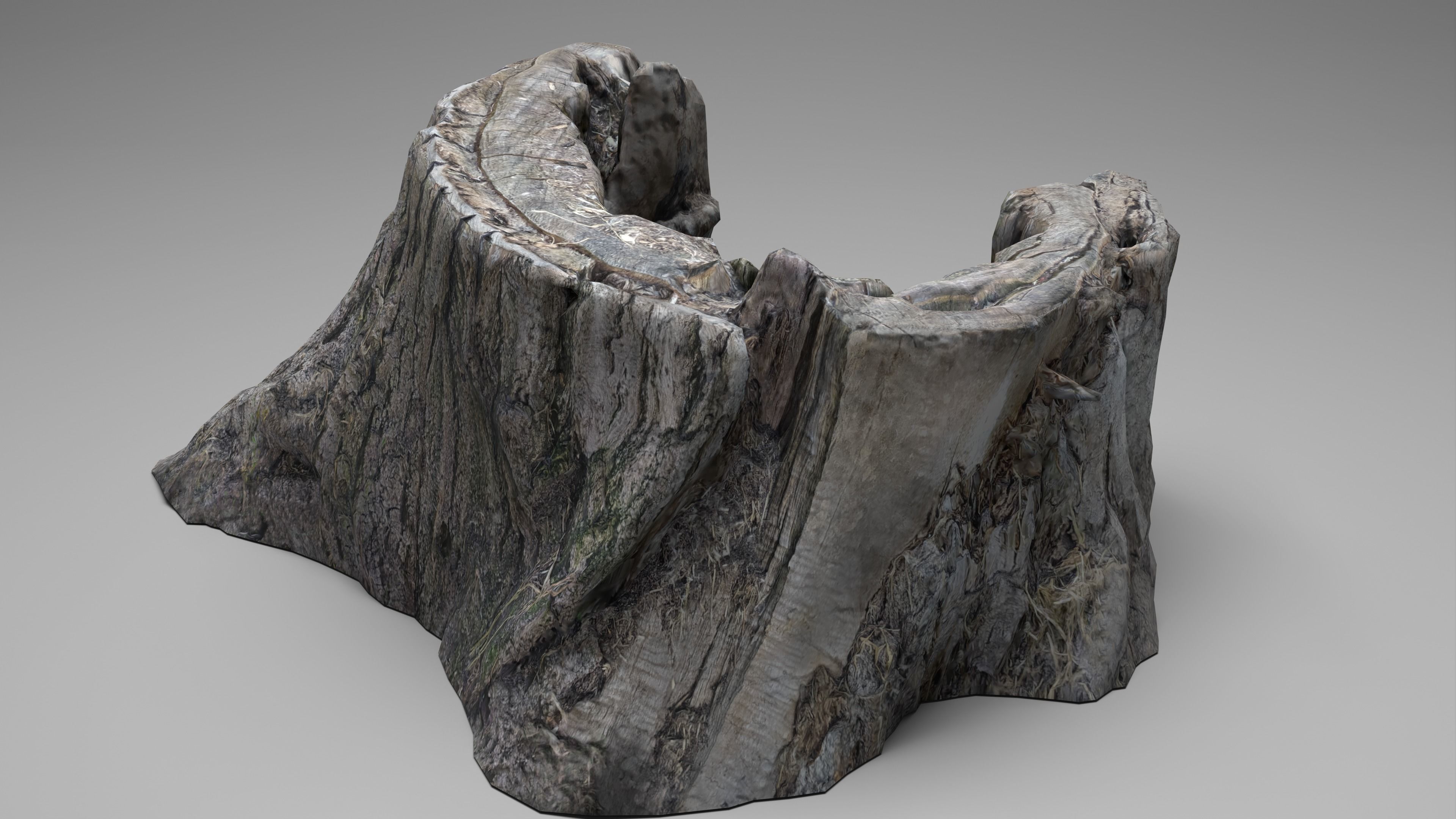 Tree Stump 003 Photoscan PBR Game Ready Low-poly 3D model_7