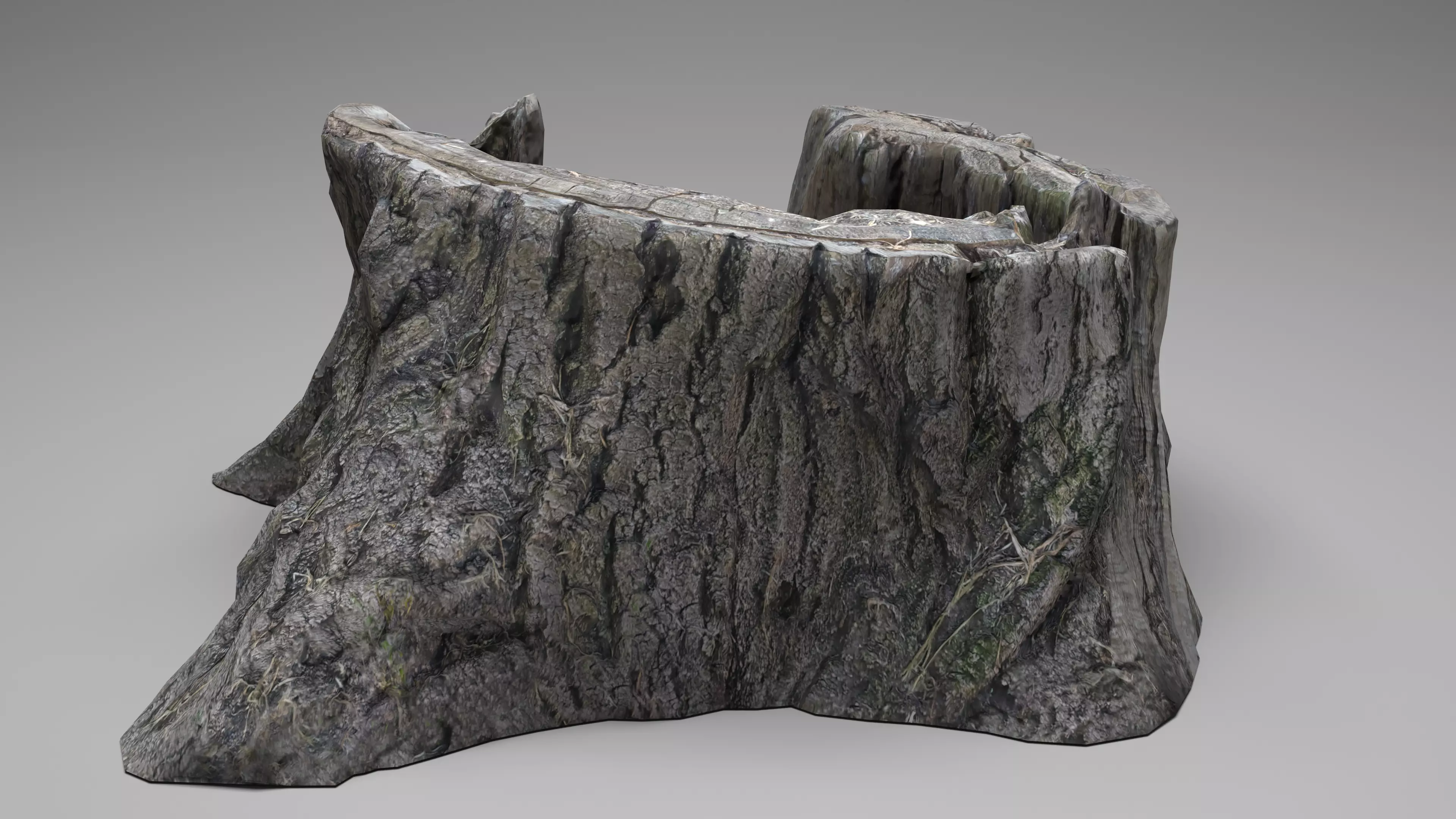Tree Stump 003 Photoscan PBR Game Ready Low-poly 3D model_0