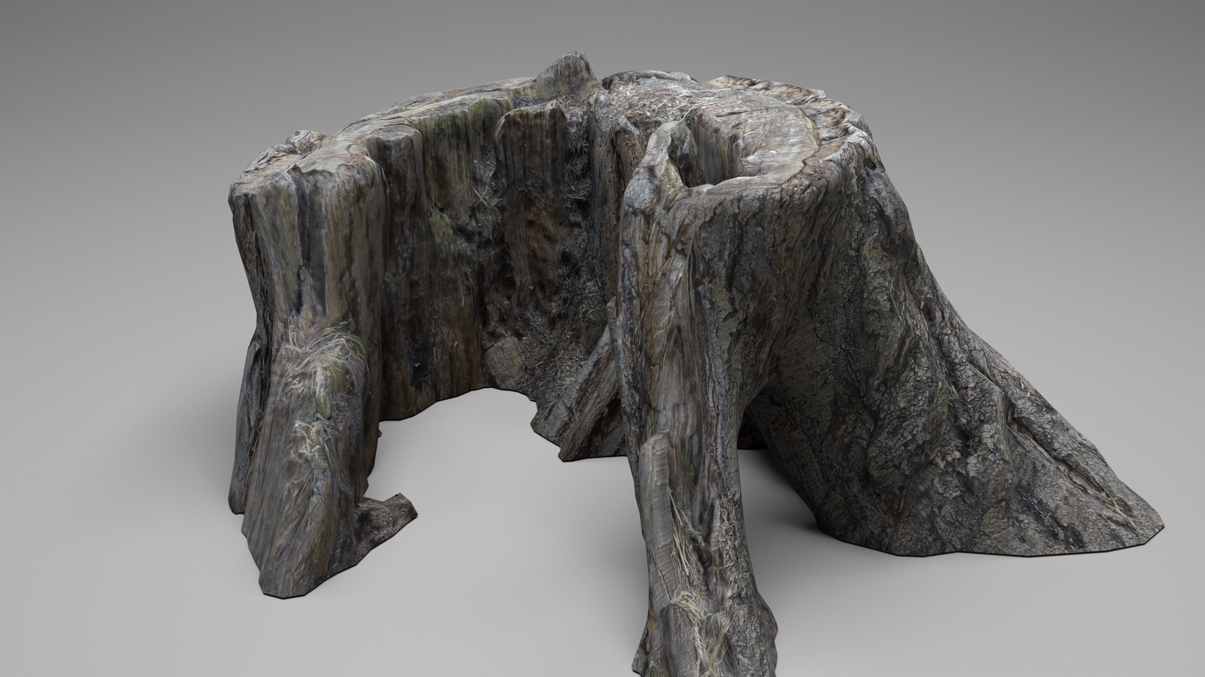 Tree Stump 003 Photoscan PBR Game Ready Low-poly 3D model_4