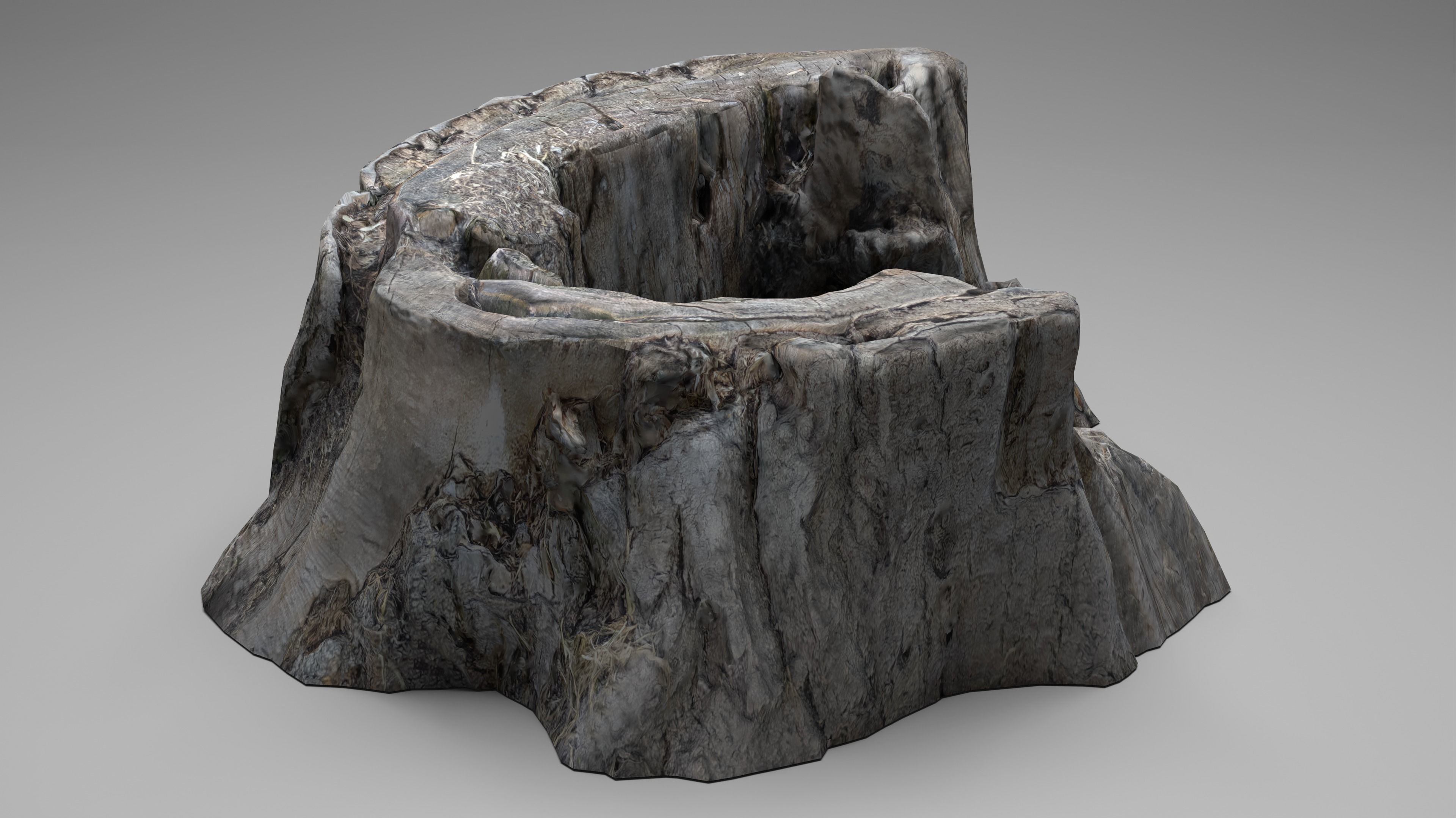 Tree Stump 003 Photoscan PBR Game Ready Low-poly 3D model_6