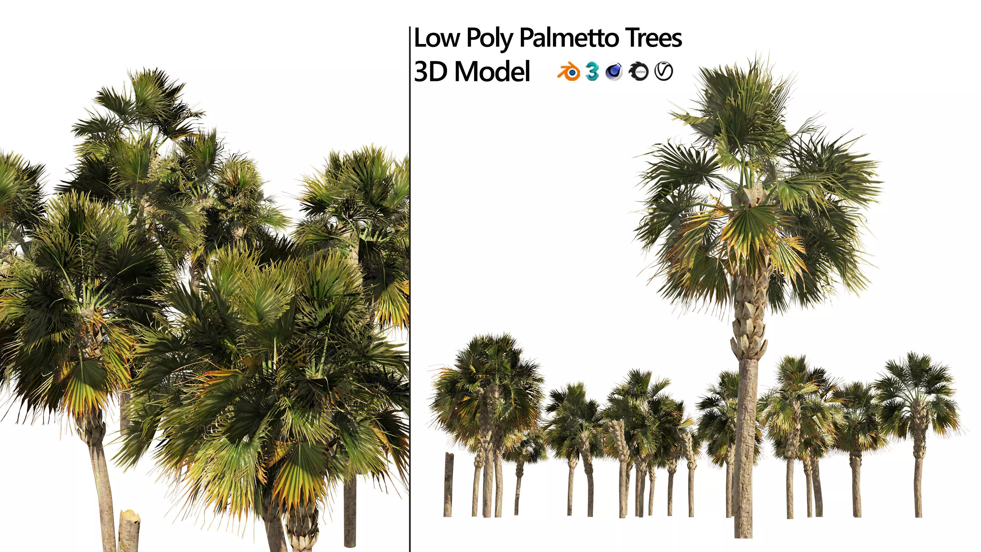 Low poly palmetto trees Low-poly 3D model_0