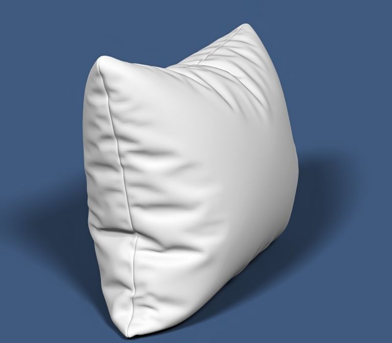 Pillow 105 3D model_1