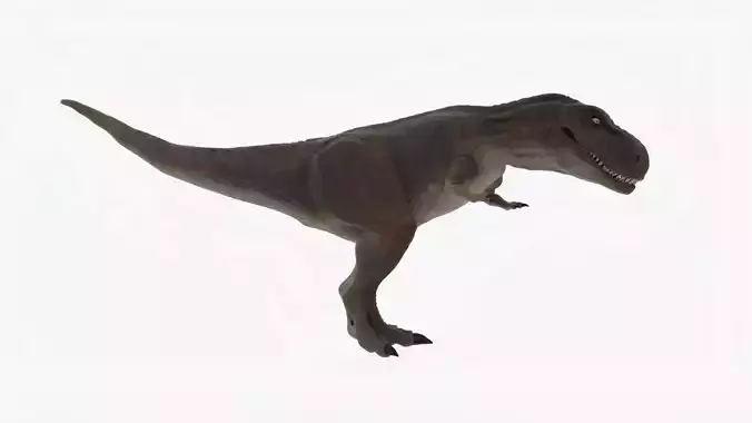 Tyrannosaurus Rigged