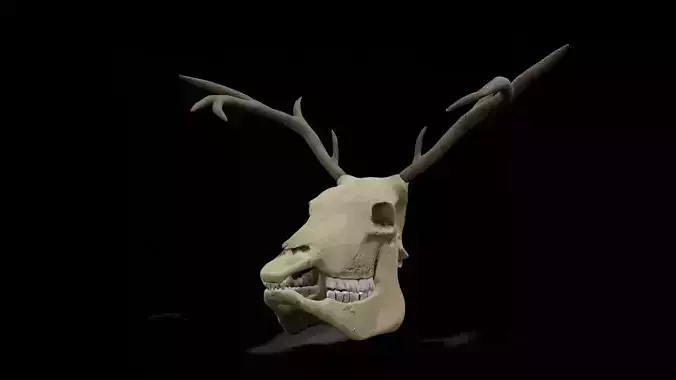 Deer low poly game ready skull