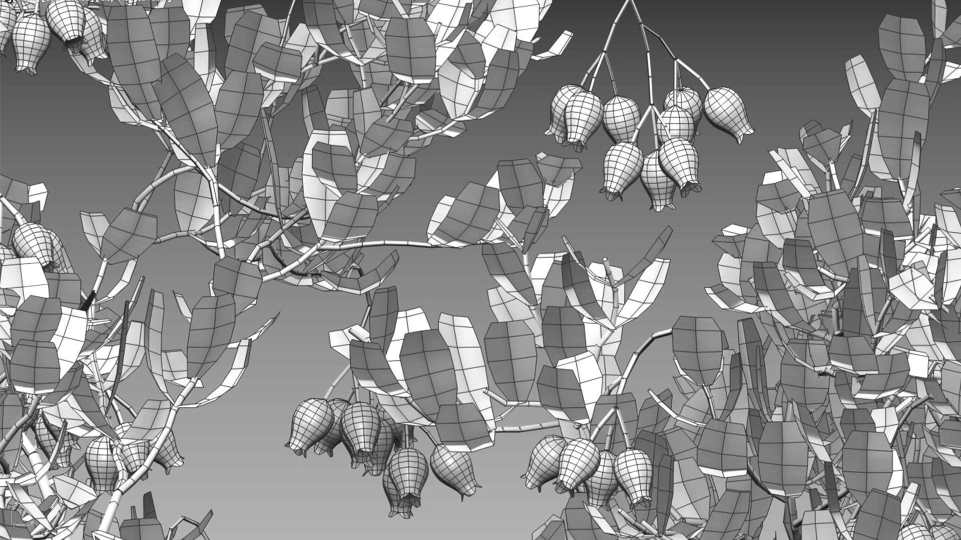 Arctostaphylos glauca - Big Berry Manzanita 02 3D model_5
