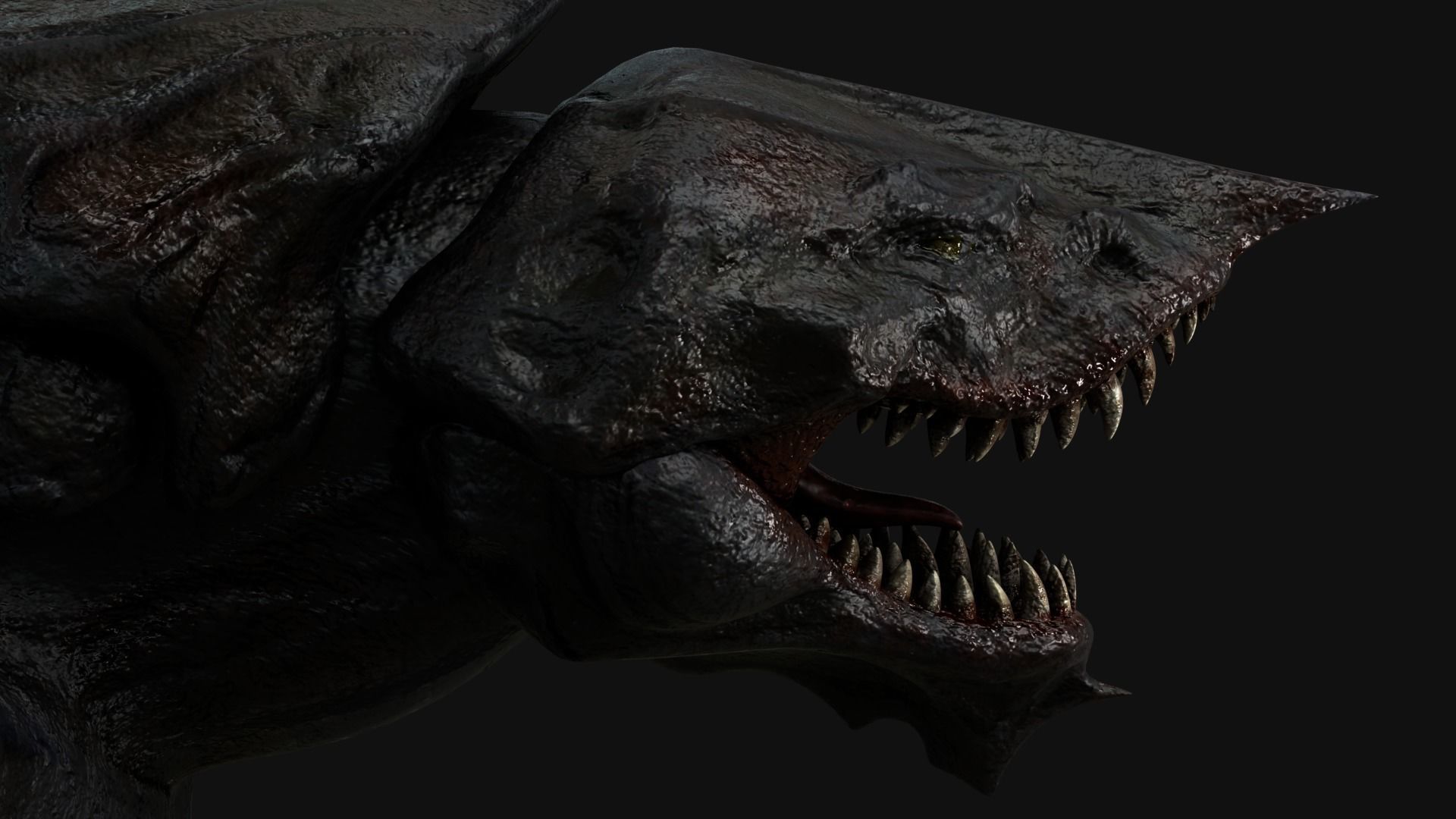 Turtle Creature Low-poly 3D model_13