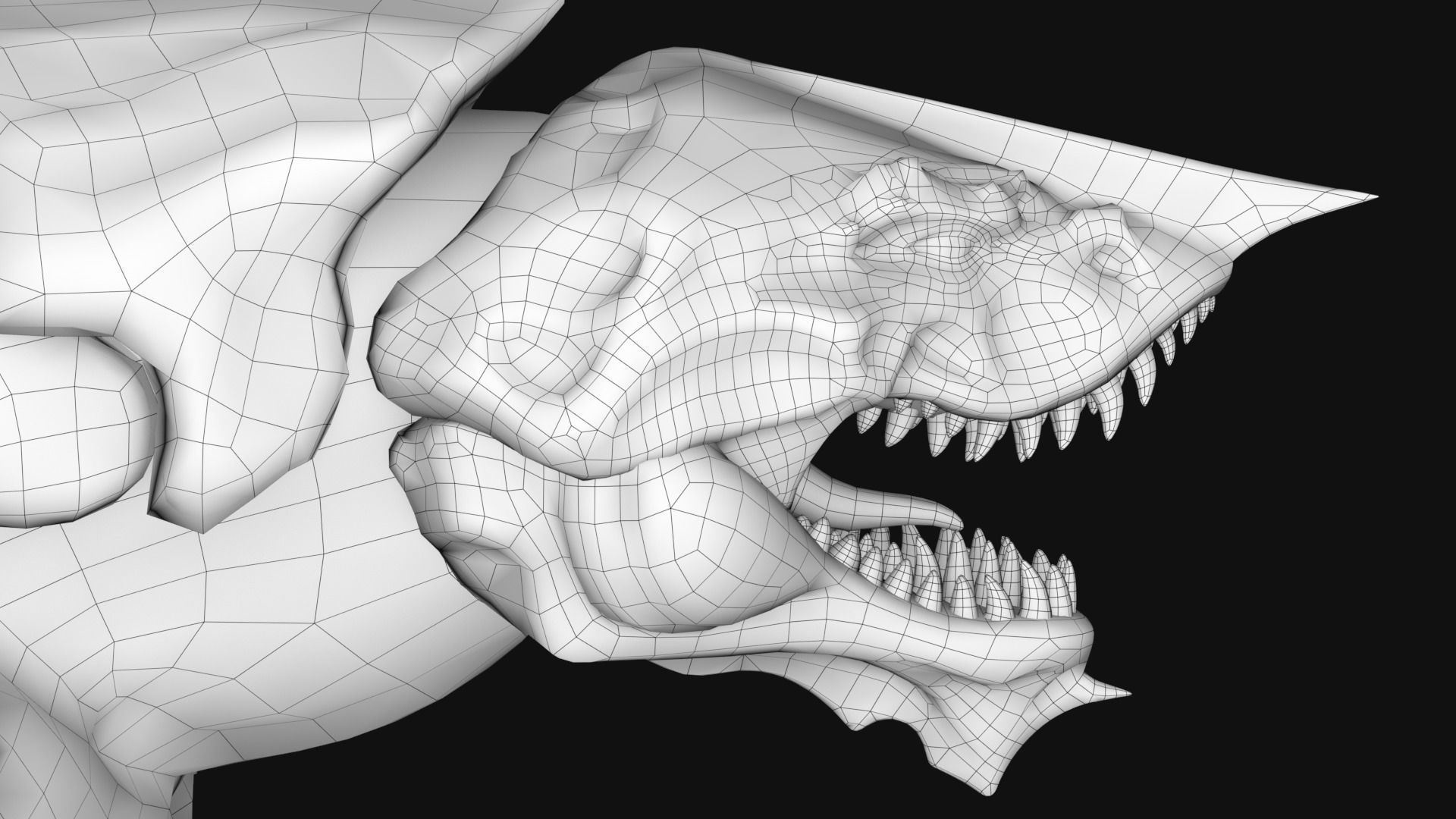 Turtle Creature Low-poly 3D model_22