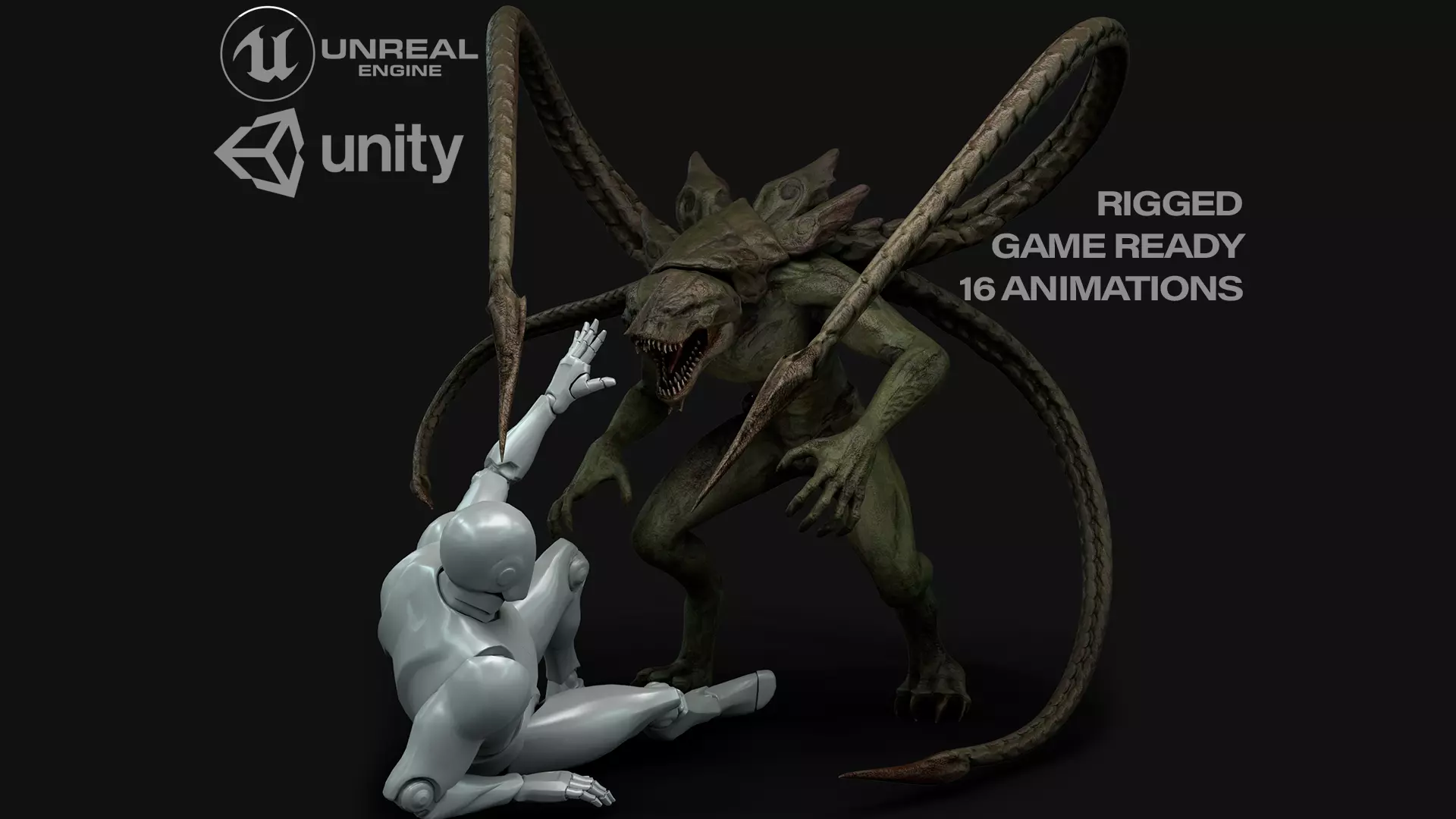 Turtle Creature Low-poly 3D model_0