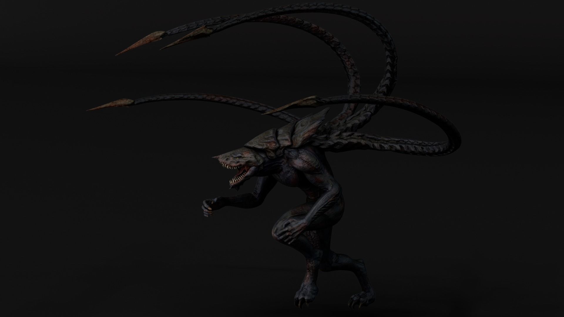 Turtle Creature Low-poly 3D model_10