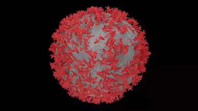 Coronavirus Model   blender