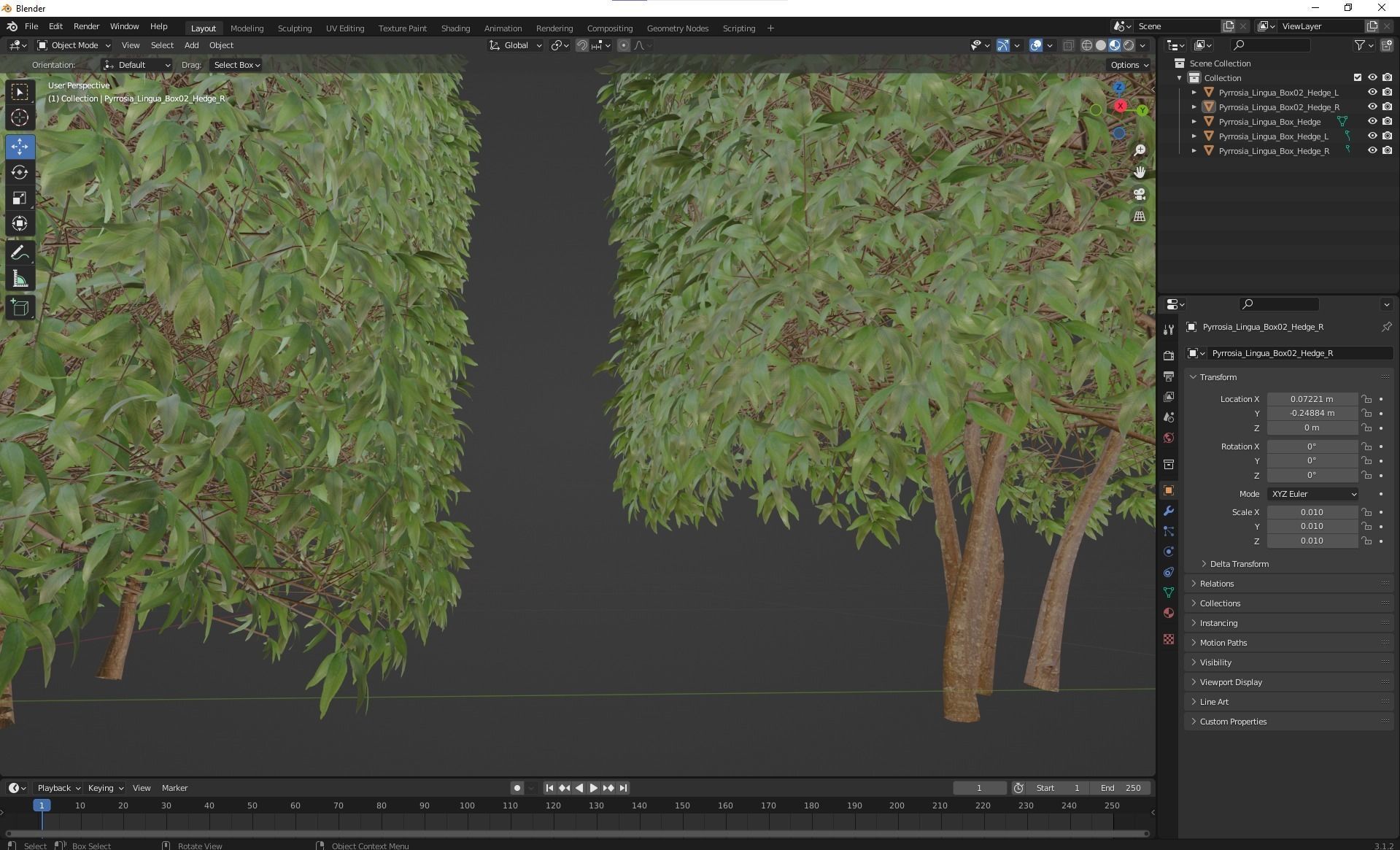 New Plant High detail Pyrrosia Lingua Box Hedge 3D model_7