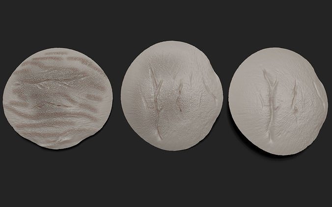 3 Burns and scar 3D patches 3D model