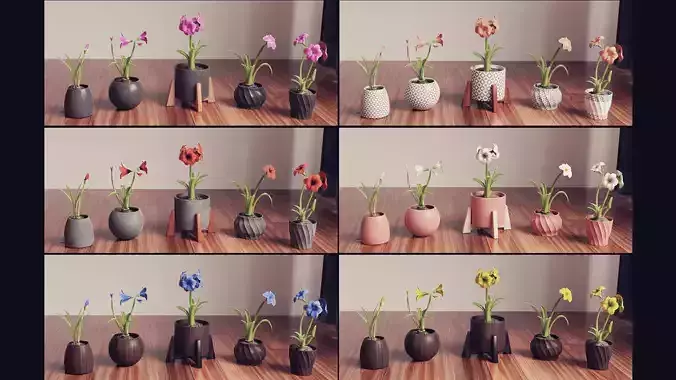 Collection of amaryllis  flower Collection Plants Vol 02 Low-poly 3D model