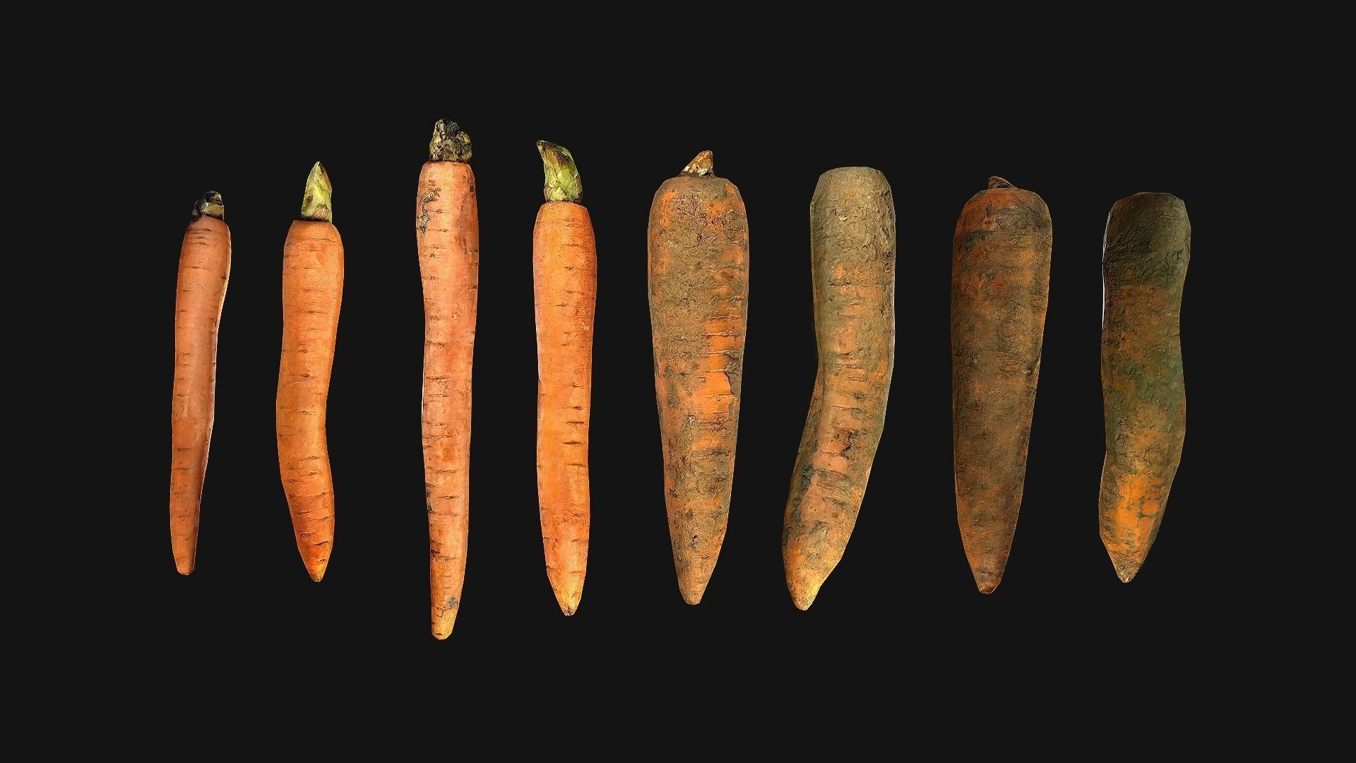 Carrots  Box Crate Stand Low-poly 3D model_8