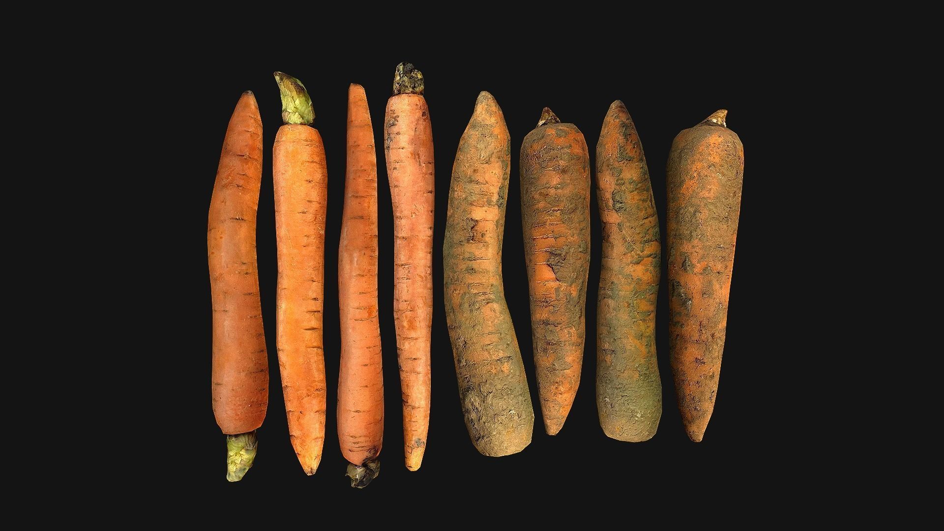 Carrots  Box Crate Stand Low-poly 3D model_26