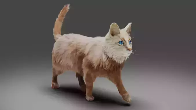 Fur Cat White Rigged in Blender