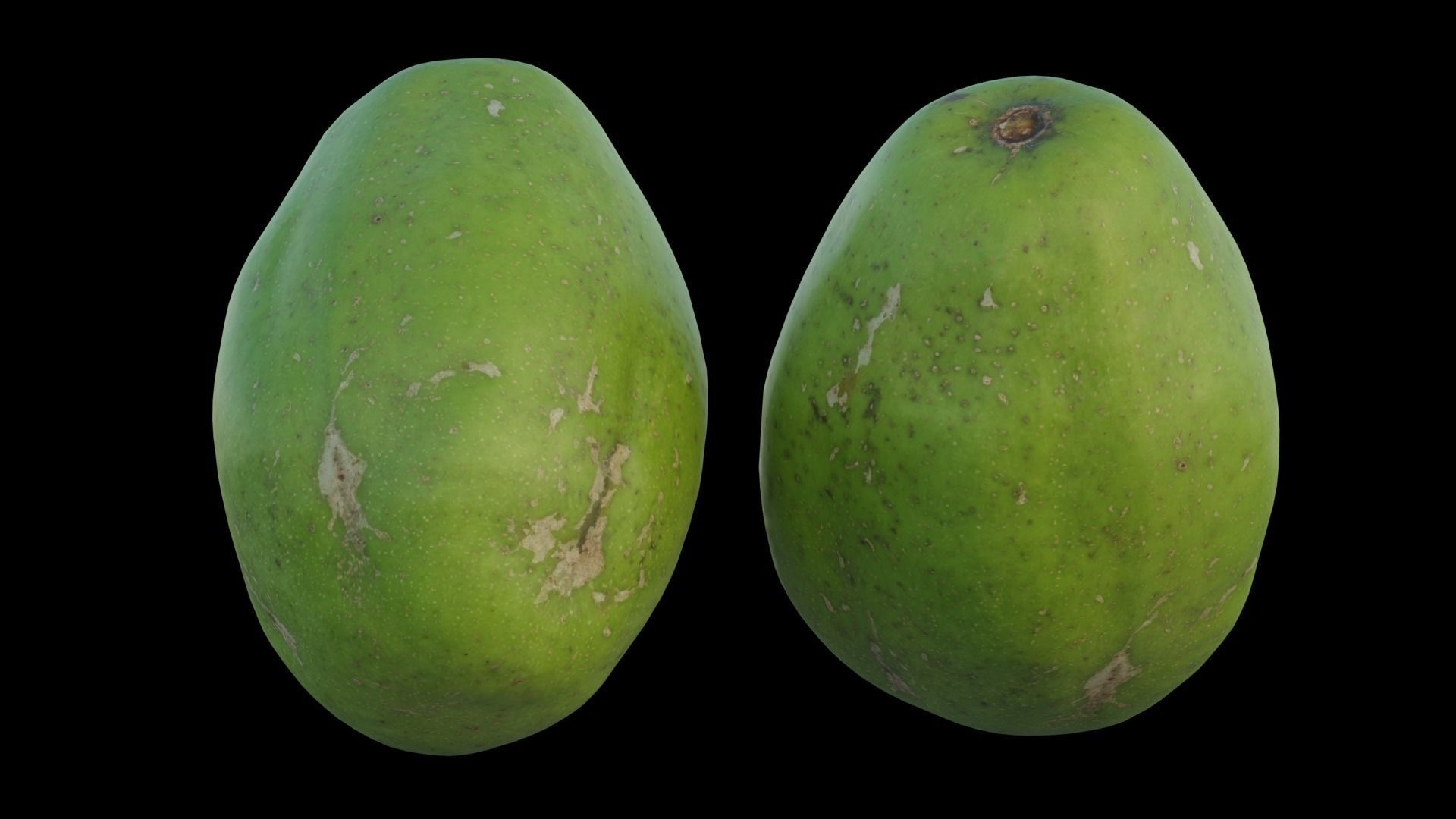 ambarella 02 3D model_15