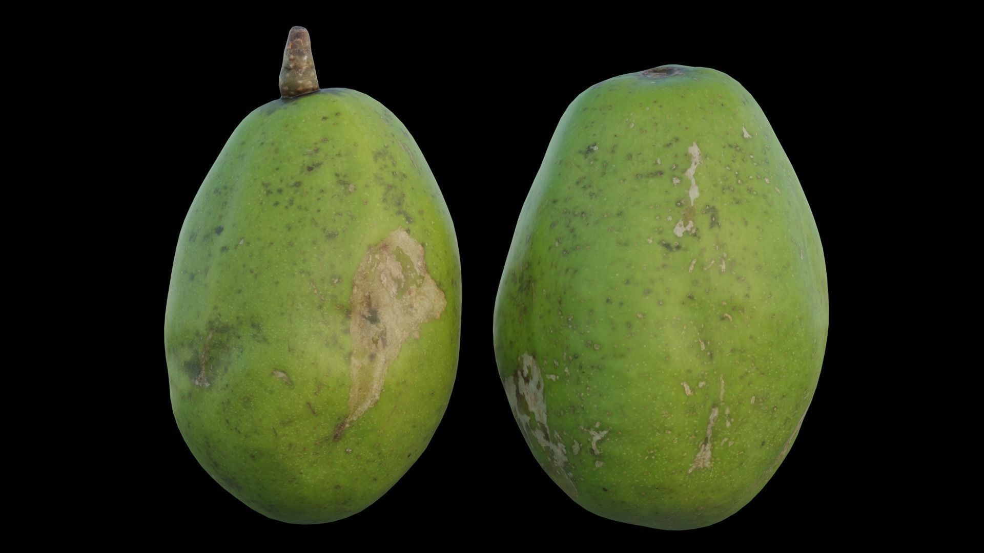 ambarella 02 3D model_8